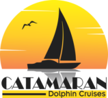 Catamaran Dolphin Cruises