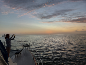 catamaran walvis bay sunset cruise